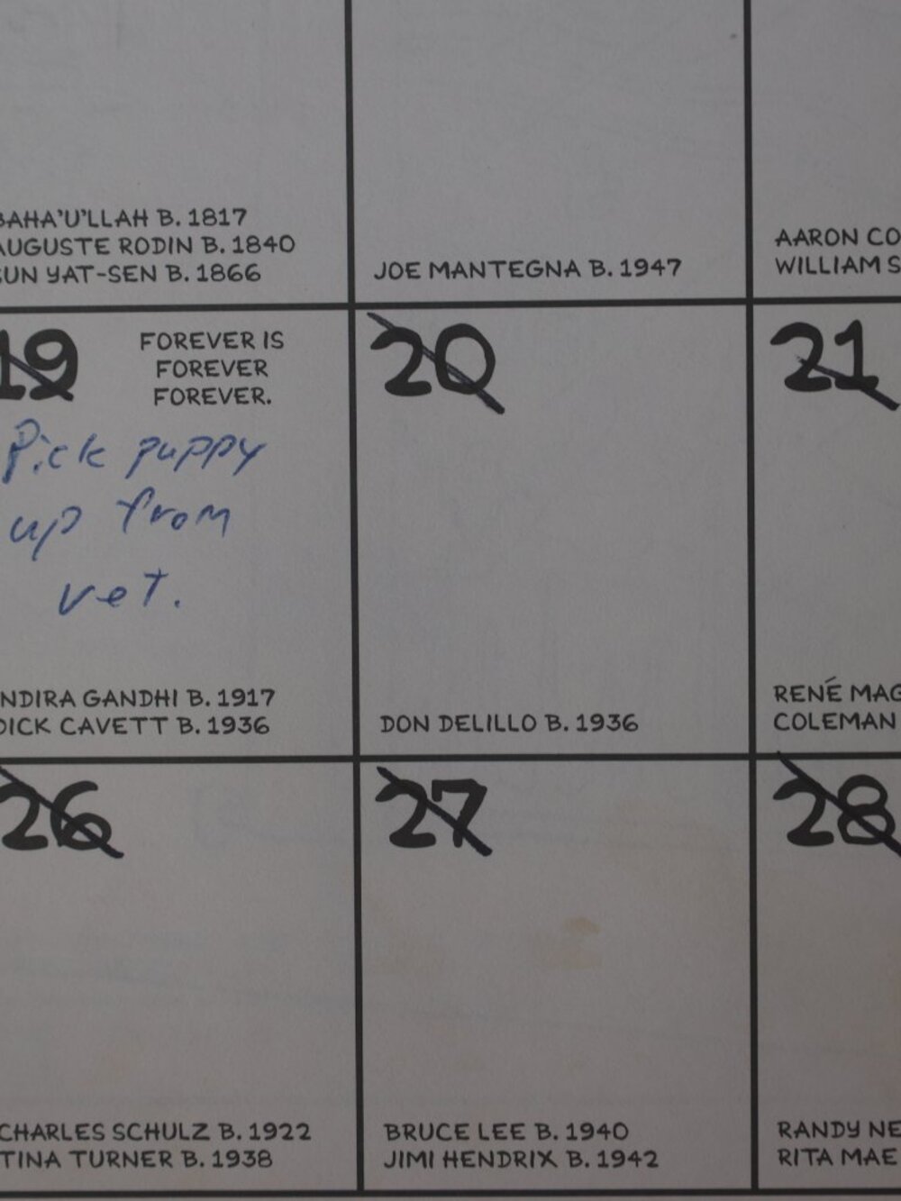 Life in Hell 1995 - 1996 16 Month Fun Calendar Matt Groening Akbar Jeff Comics - Picture 9 of 11